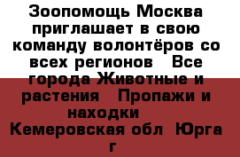 Зоопомощь.Москва приглашает в свою команду волонтёров со всех регионов - Все города Животные и растения » Пропажи и находки   . Кемеровская обл.,Юрга г.